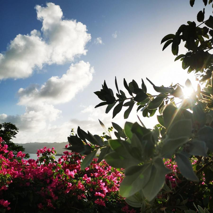 Vue Sur Mer A La Villa Parme Le Robert Luaran gambar